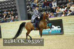 24BUCK_05367 proof