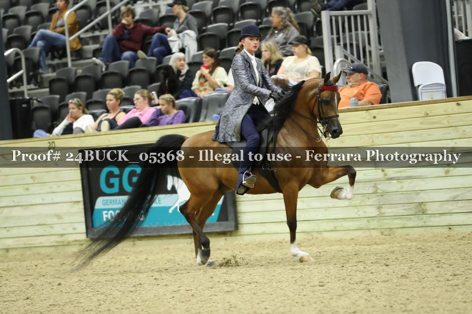 Proof 24BUCK_05368