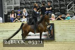 24BUCK_05371 proof