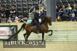 24BUCK_05372 proof