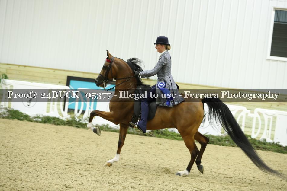 Proof 24BUCK_05377