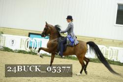 24BUCK_05377 proof
