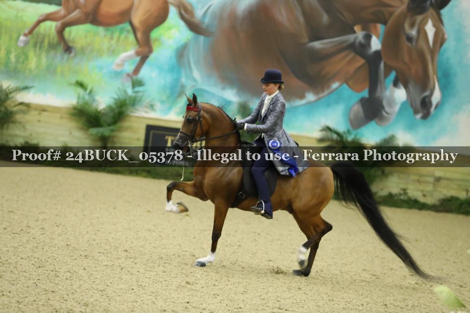 Proof 24BUCK_05378