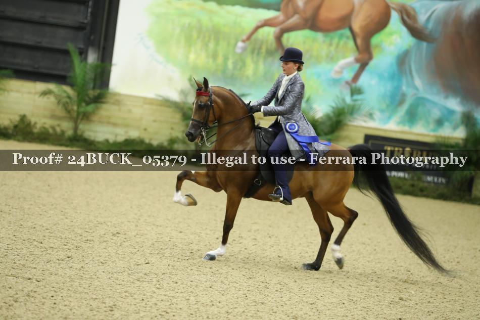 Proof 24BUCK_05379