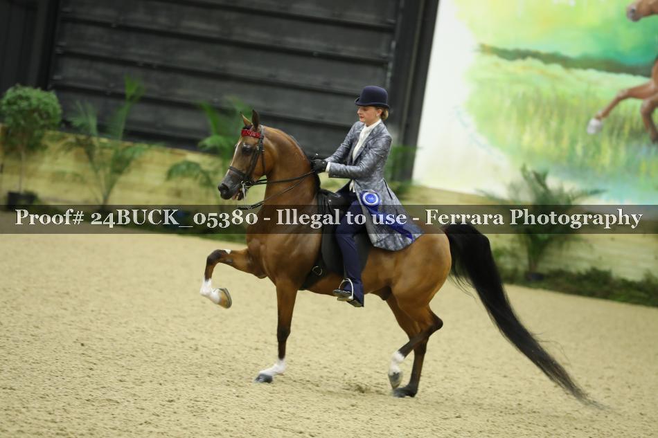 Proof 24BUCK_05380