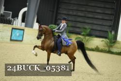 24BUCK_05381 proof
