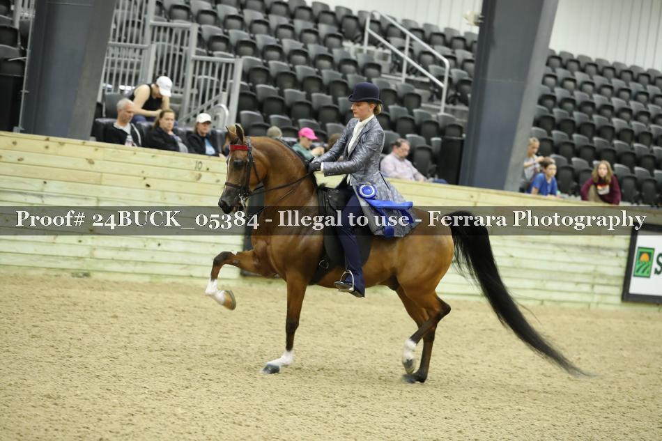 Proof 24BUCK_05384