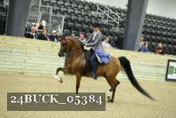 24BUCK_05384 proof