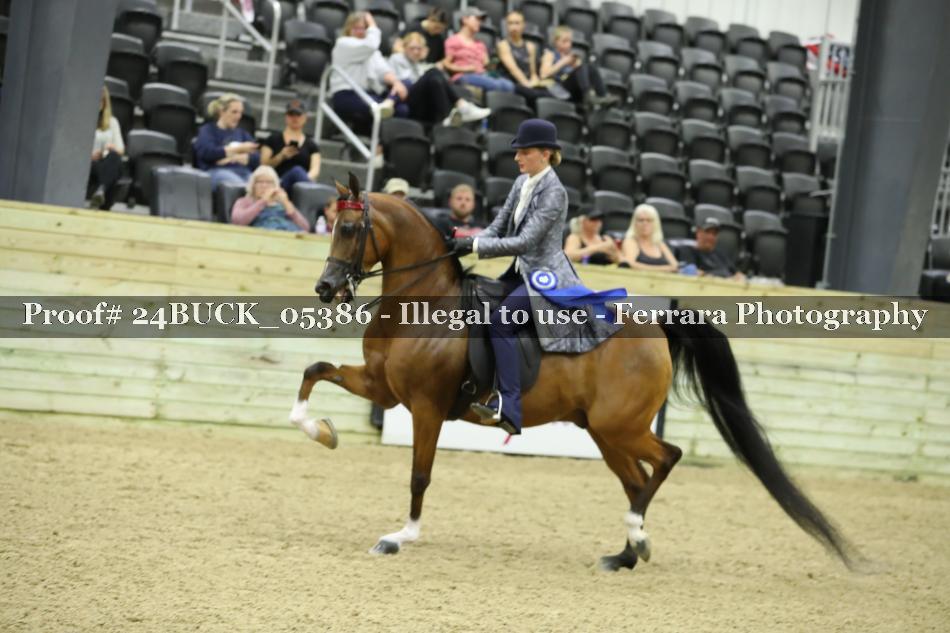 Proof 24BUCK_05386