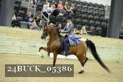 24BUCK_05386 proof