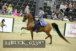 24BUCK_05387 proof
