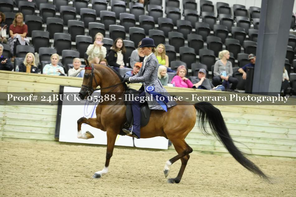 Proof 24BUCK_05388
