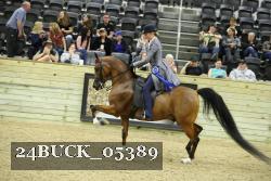 24BUCK_05389 proof