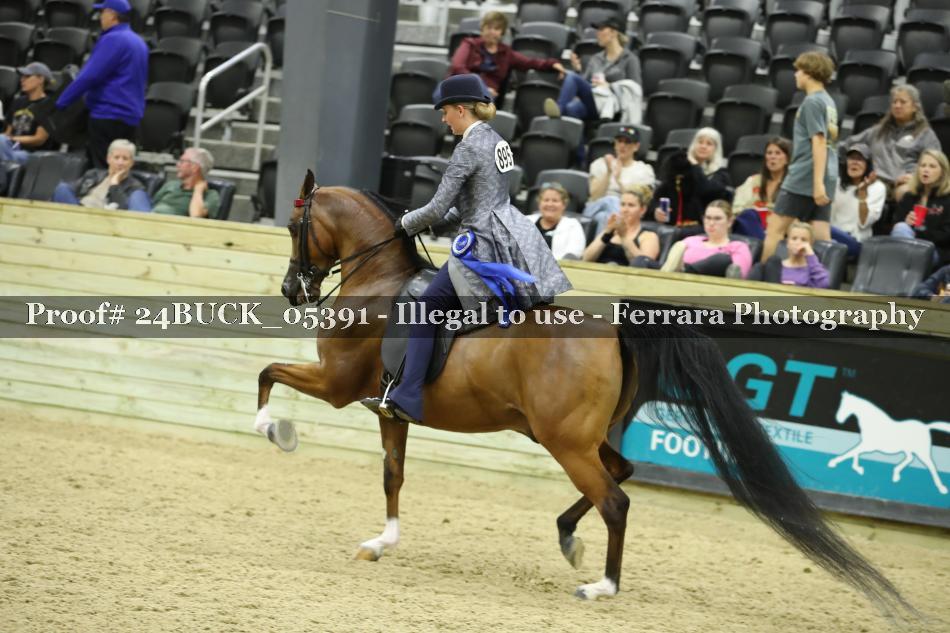 Proof 24BUCK_05391