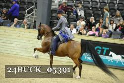 24BUCK_05391 proof