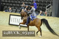 24BUCK_05392 proof