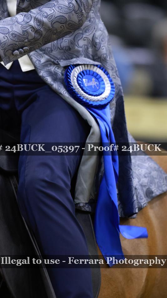 Proof 24BUCK_05397