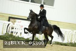 24BUCK_05399 proof