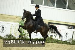 24BUCK_05400 proof
