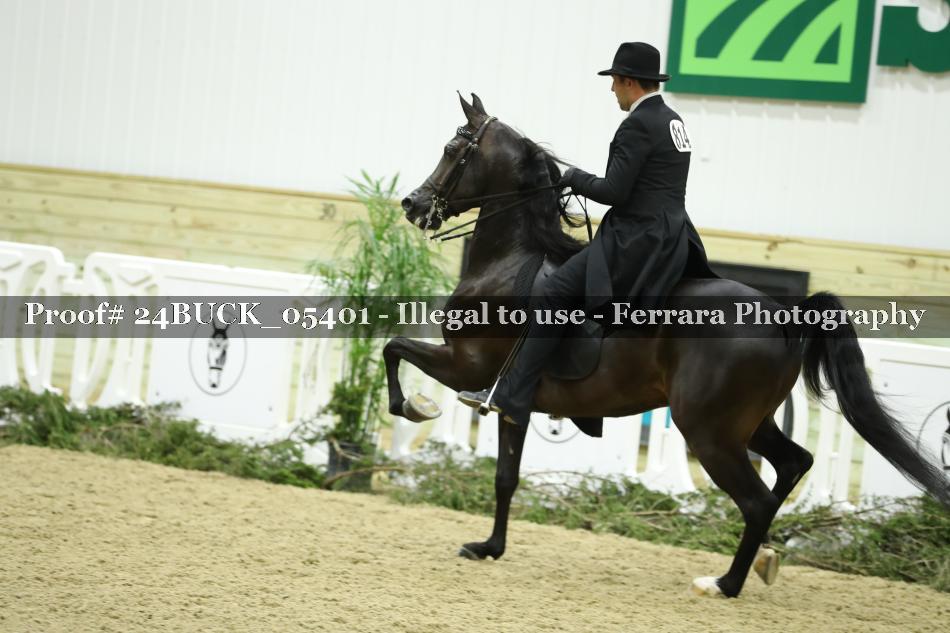 Proof 24BUCK_05401