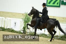 24BUCK_05401 proof
