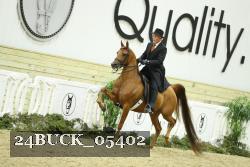 24BUCK_05402 proof