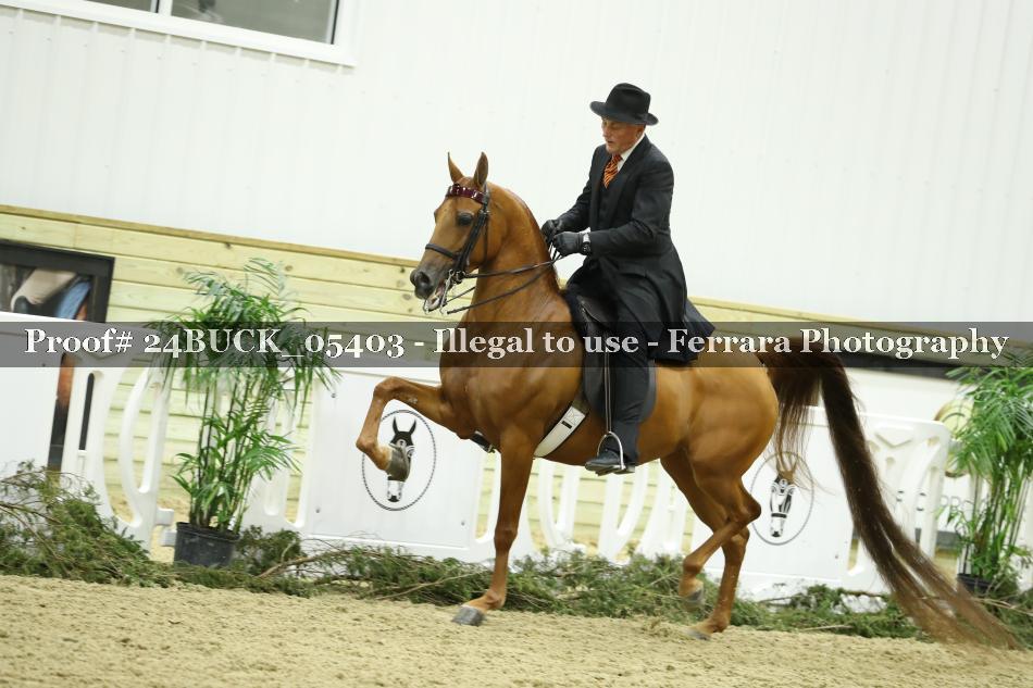 Proof 24BUCK_05403