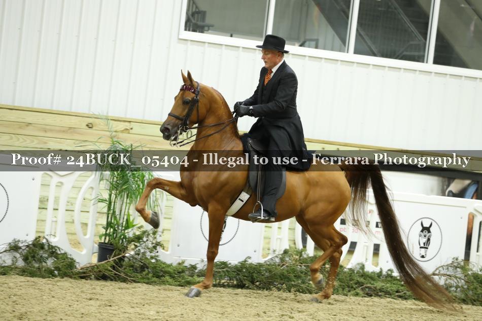 Proof 24BUCK_05404