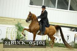 24BUCK_05404 proof