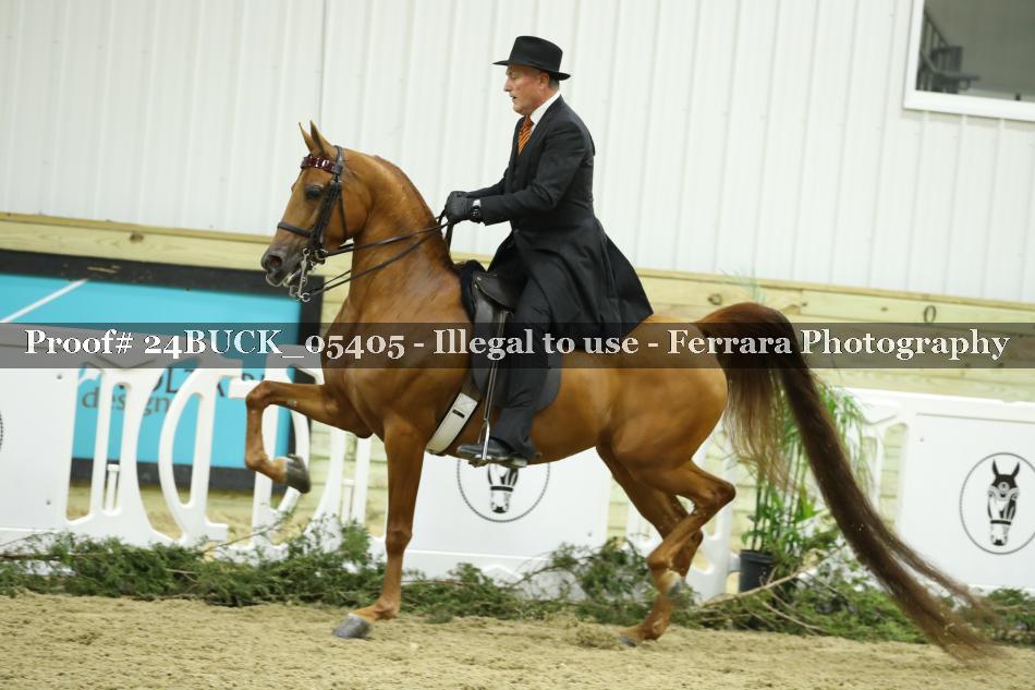 Proof 24BUCK_05405