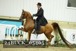24BUCK_05405 proof