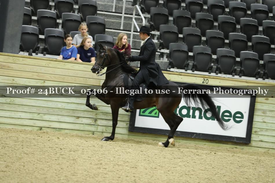 Proof 24BUCK_05406