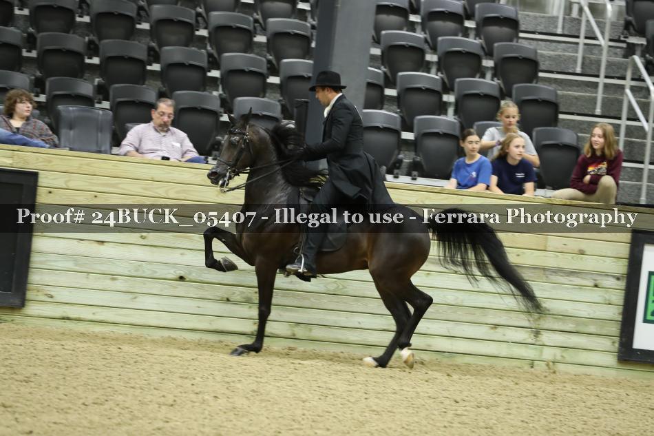 Proof 24BUCK_05407