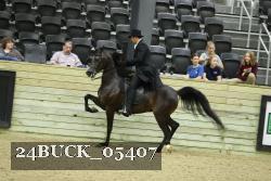 24BUCK_05407 proof