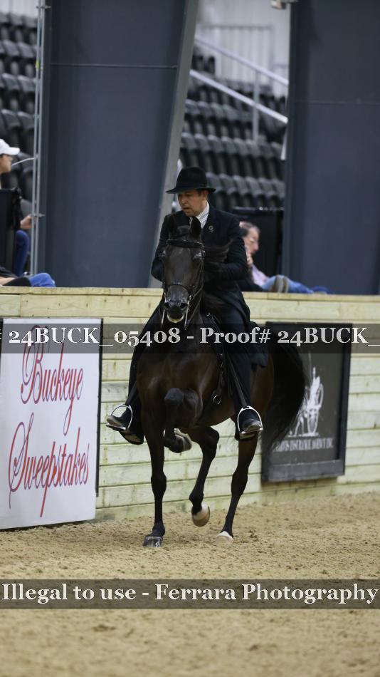Proof 24BUCK_05408
