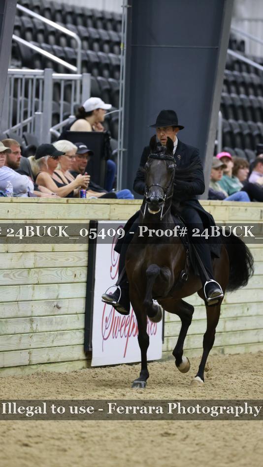 Proof 24BUCK_05409