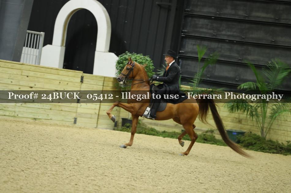 Proof 24BUCK_05412