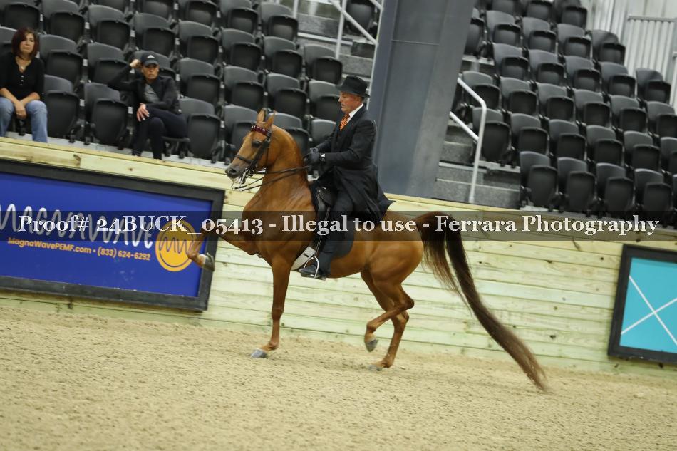 Proof 24BUCK_05413