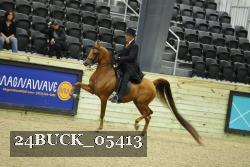 24BUCK_05413 proof
