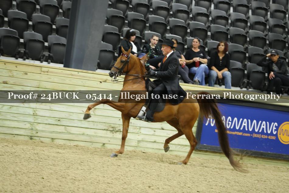Proof 24BUCK_05414