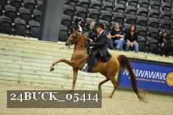 24BUCK_05414 proof