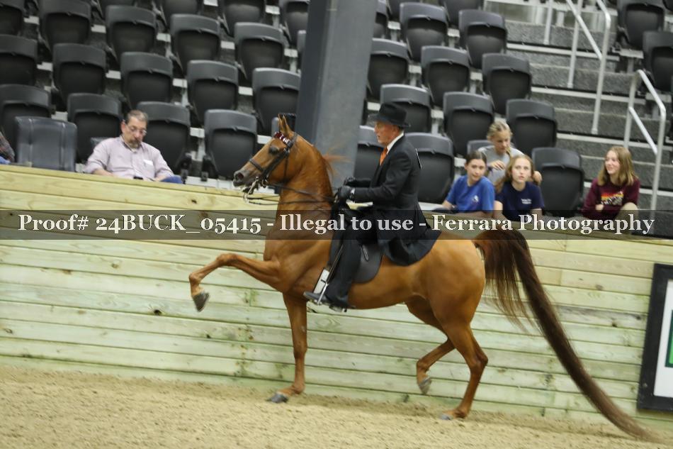Proof 24BUCK_05415