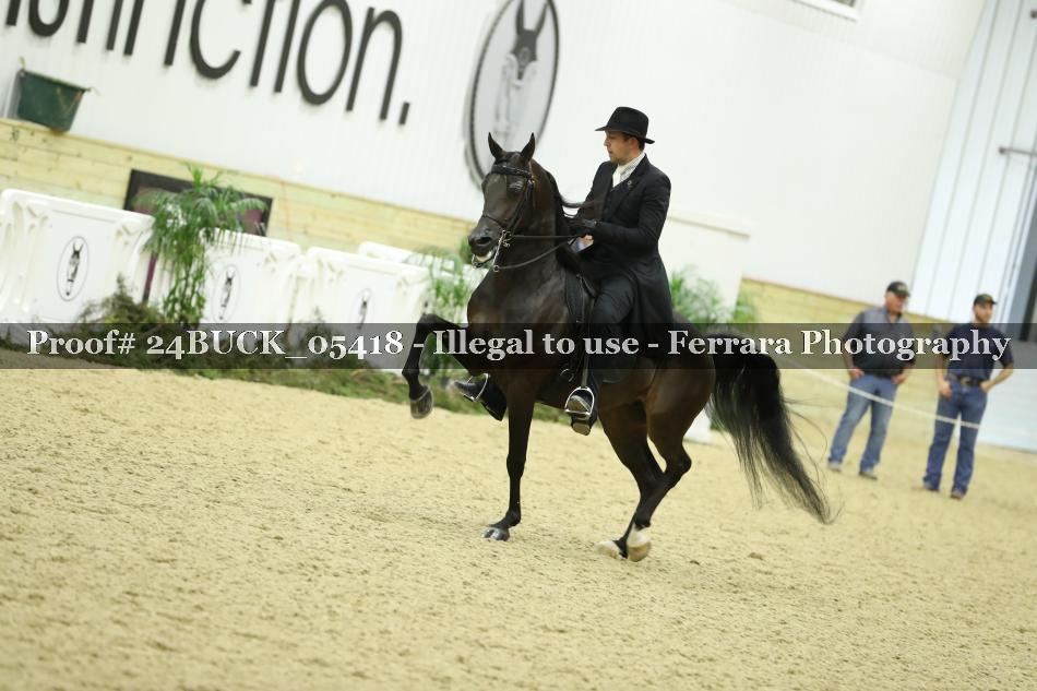 Proof 24BUCK_05418