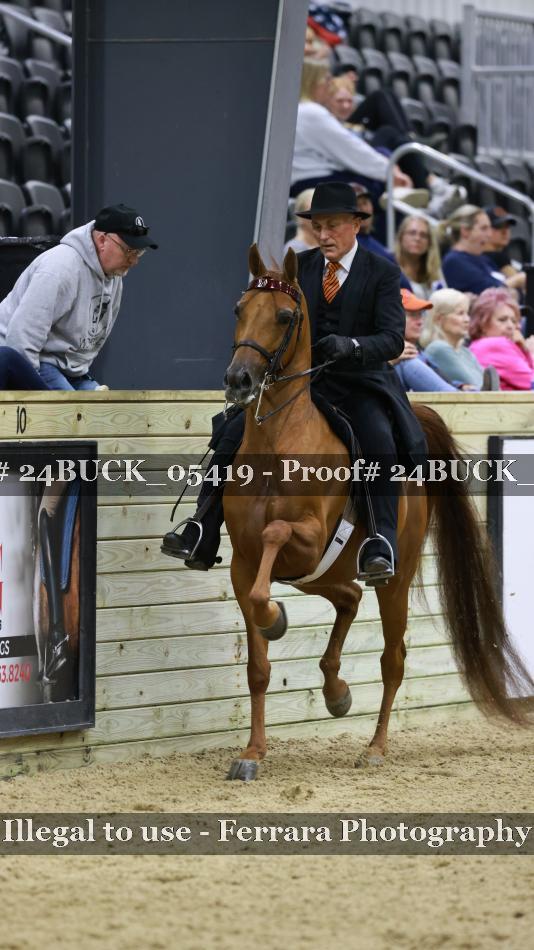 Proof 24BUCK_05419