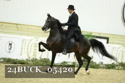 24BUCK_05420 proof