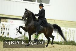 24BUCK_05421 proof