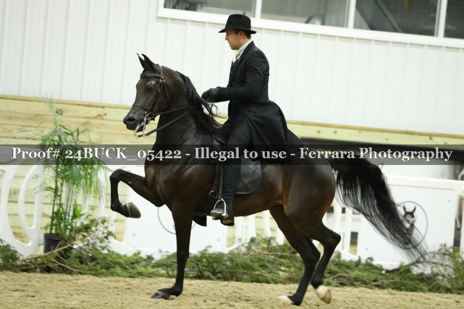 Proof 24BUCK_05422