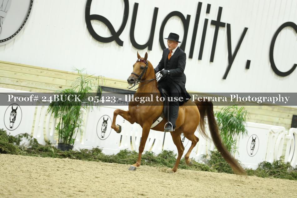 Proof 24BUCK_05423