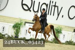 24BUCK_05423 proof