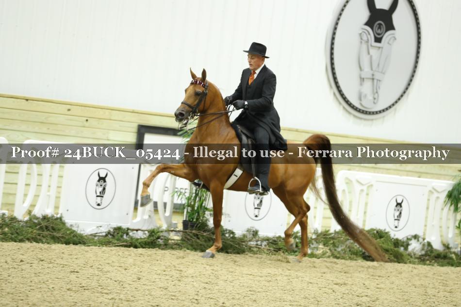 Proof 24BUCK_05424